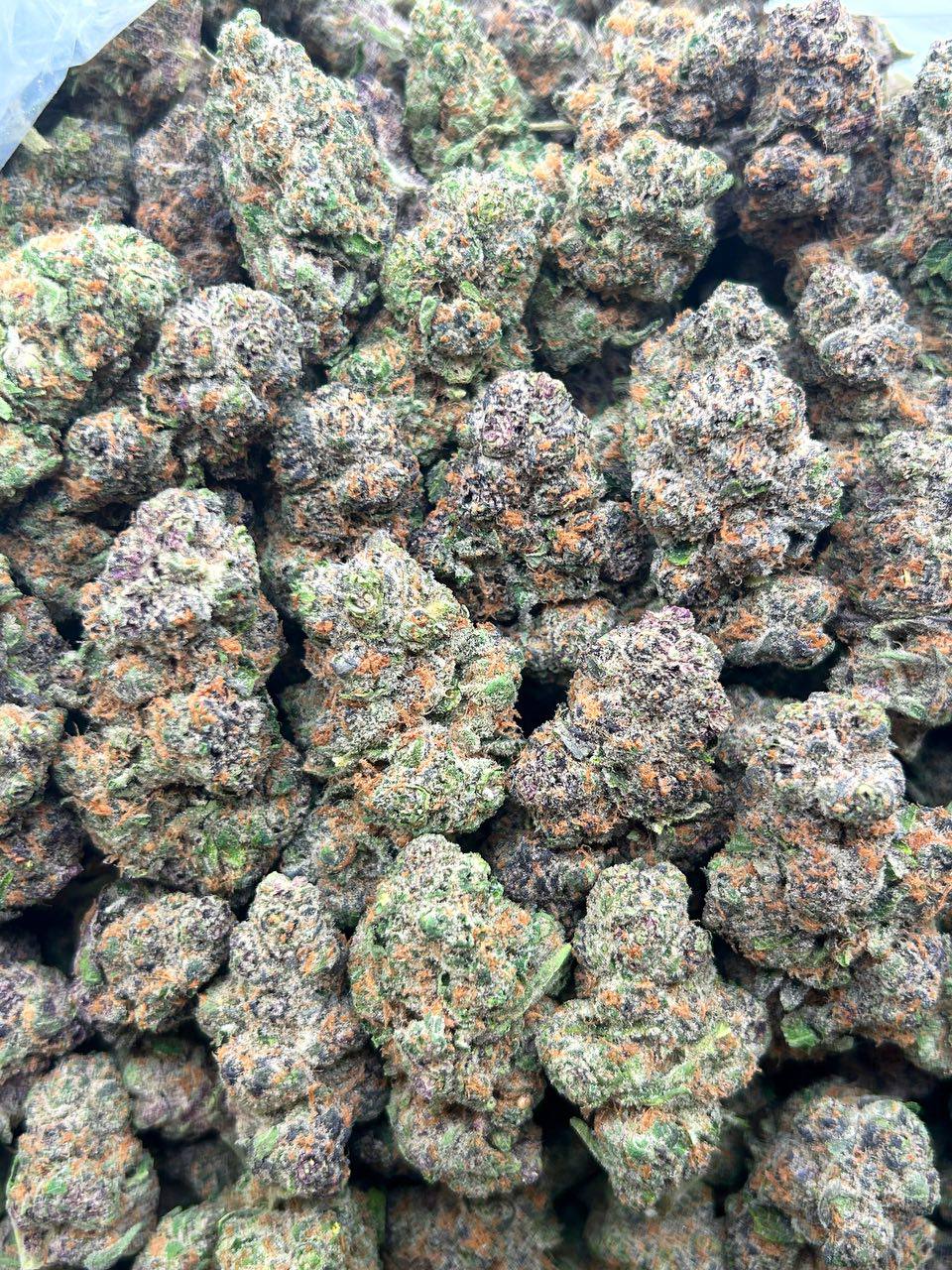 Gelato