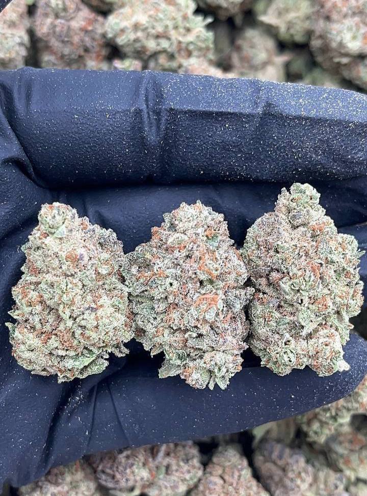Pluto Kush - Image 2