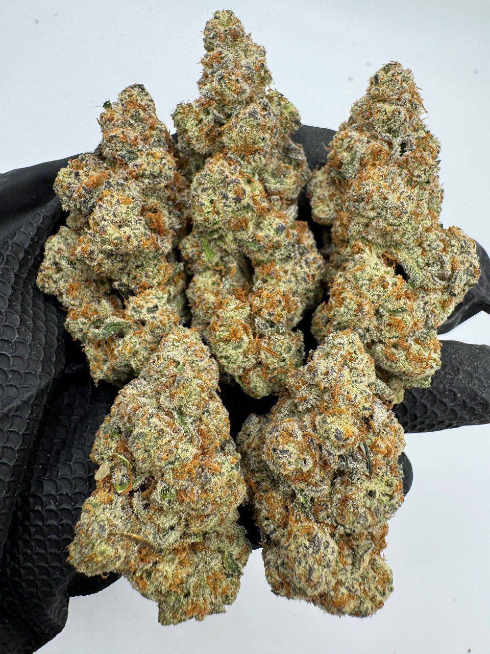 Puffy Payton - Image 2