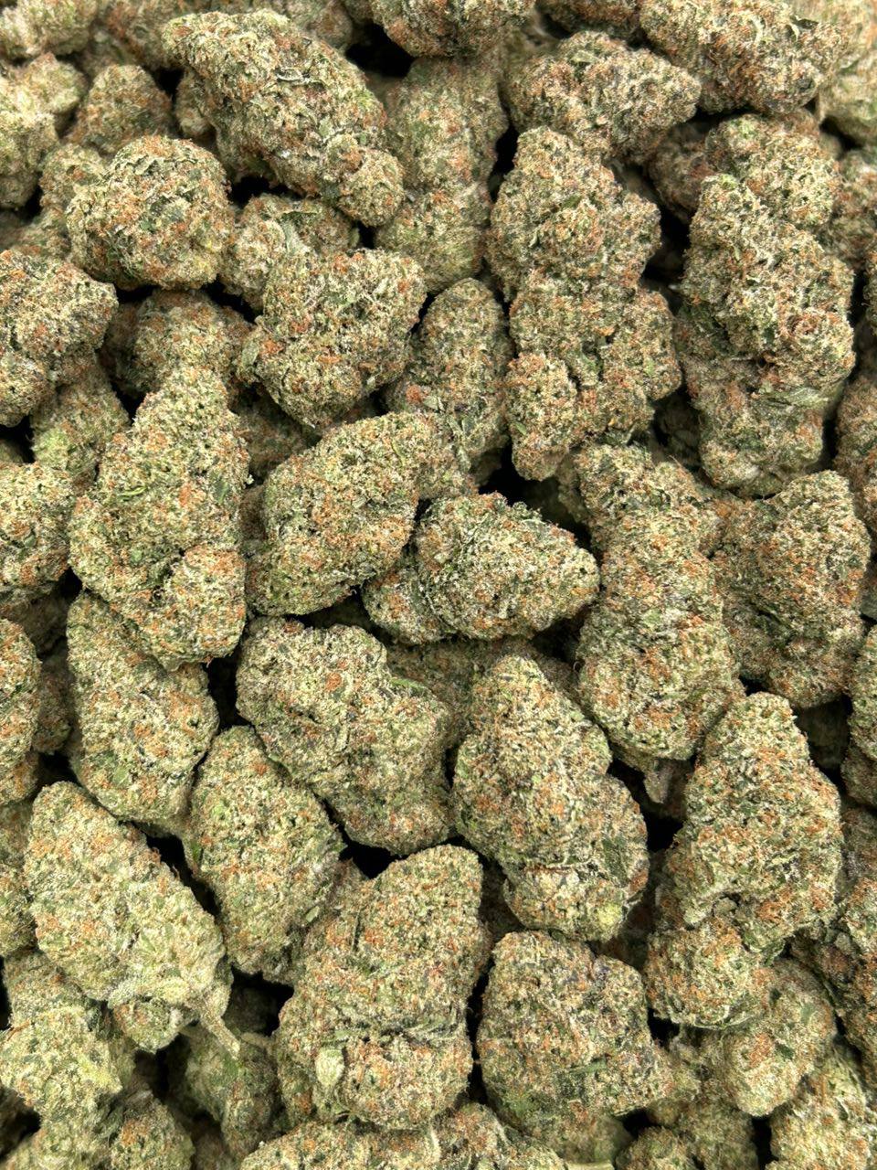 Candy Skunk