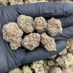 Alternative view of Gelato Pop