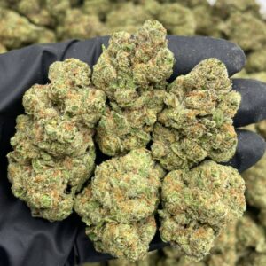 Alternative view of Sour Cotton Candy