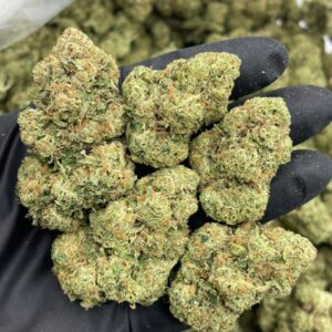 Alternative view of Gorilla Glue