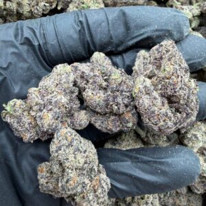 Alternative view of Candy Fumez