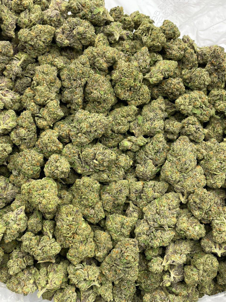 Blueberry Gruntz