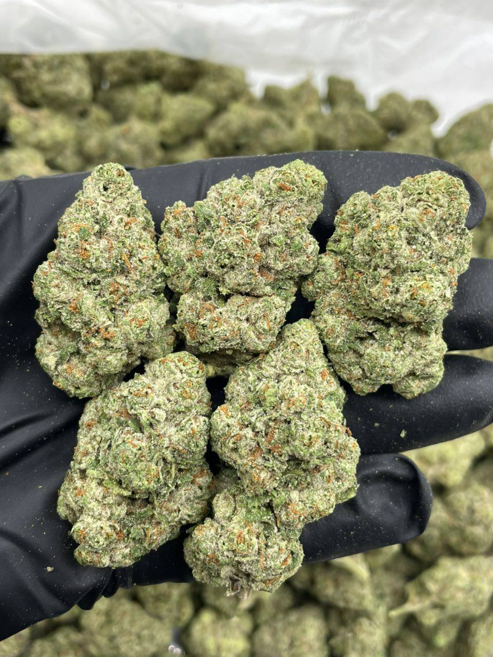 Race Fuel OG - Image 2