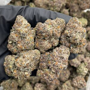 Alternative view of Grape Zour Patch