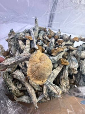 PSYCHEDELICS/LEAN/HASH